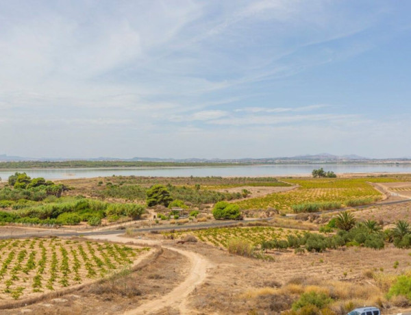 Piso en venta en Gaspar Perrelló