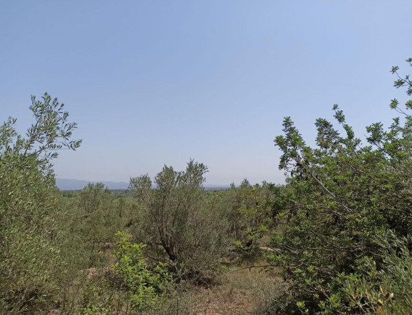 Terreno en venta en camino 36 Covalta