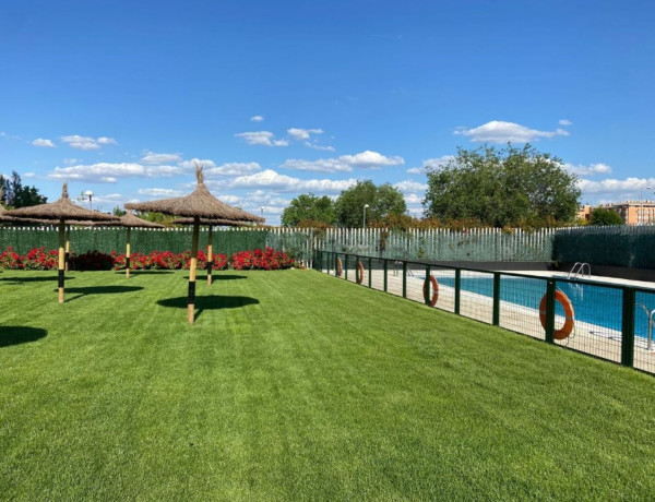 Alquiler de Piso en calle de Dulce Chacón