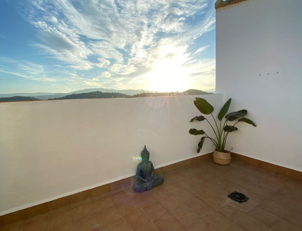 Alquiler de Dúplex en avenida Severo Ochoa, 4