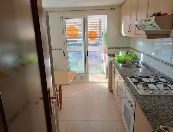 Alquiler de Piso en camino Viejo de Xirivella s/n