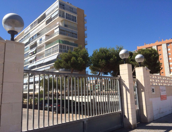 Alquiler de Piso en calle del Torero Luis Francisco Esplá, 14