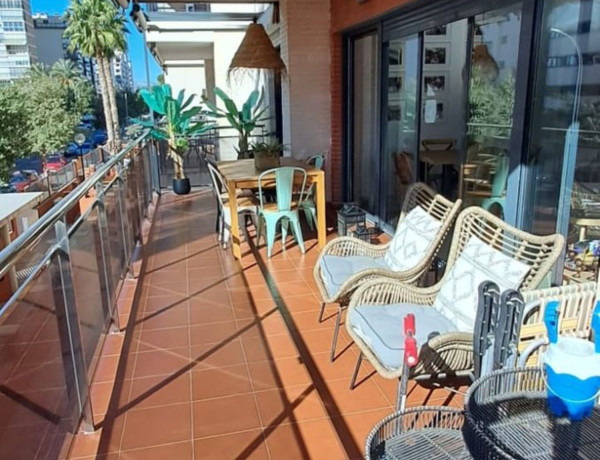 Alquiler de Piso en calle Músico Vicente Spiteri