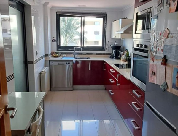 Alquiler de Piso en calle Músico Vicente Spiteri