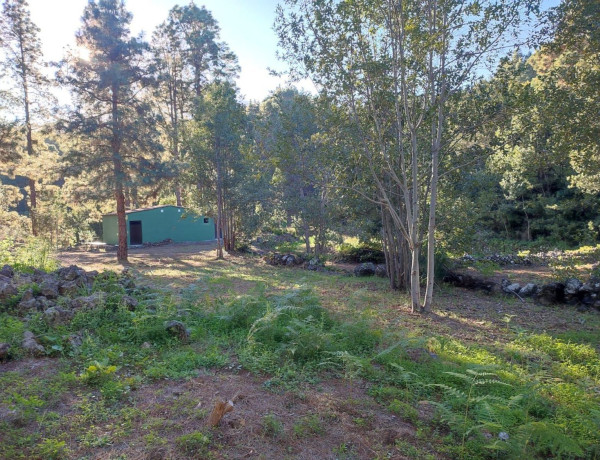 Finca rústica en venta en camino Los Helechos