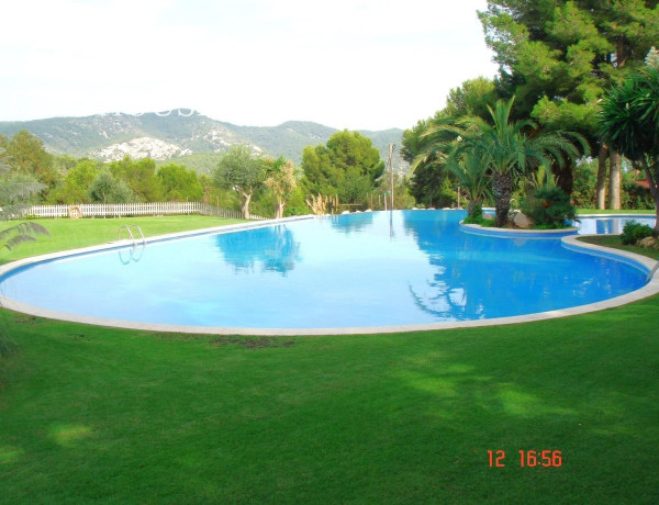 Alquiler de Casa o chalet independiente en Vallpineda-Santa Bárbara