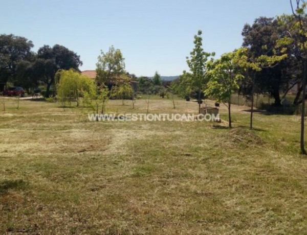 Casa o chalet independiente en venta en Urbanización Serr Playa s 6r