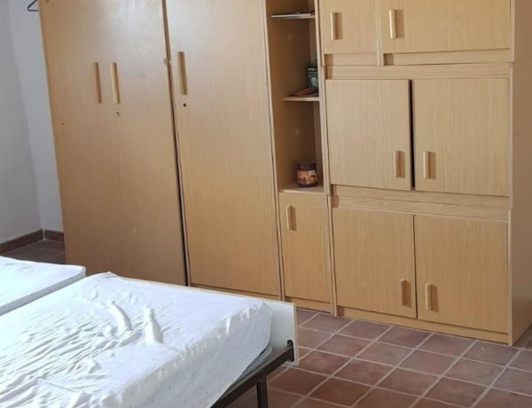 Alquiler de Terreno en Caniles