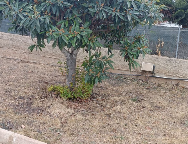 Casa o chalet independiente en venta en calle Ciudad Real, 14