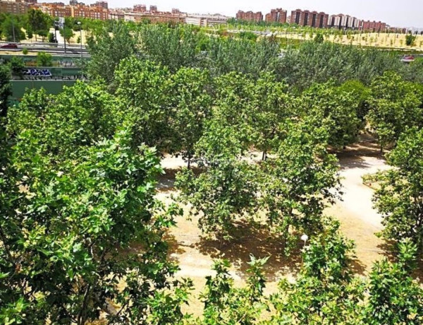 Ático en venta en calle Pescara