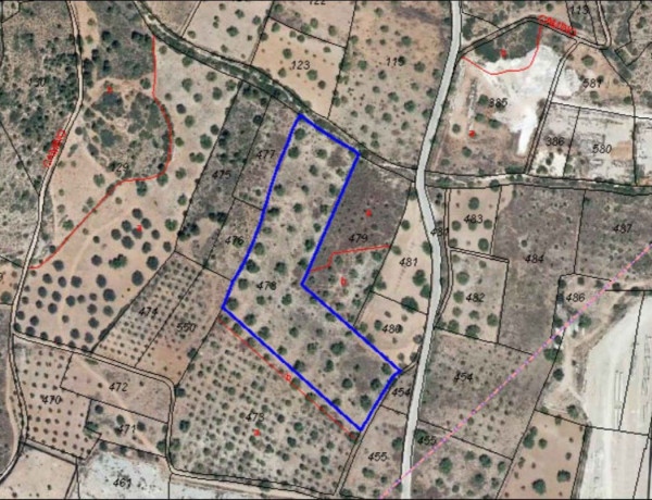 Terreno en venta en Buñol