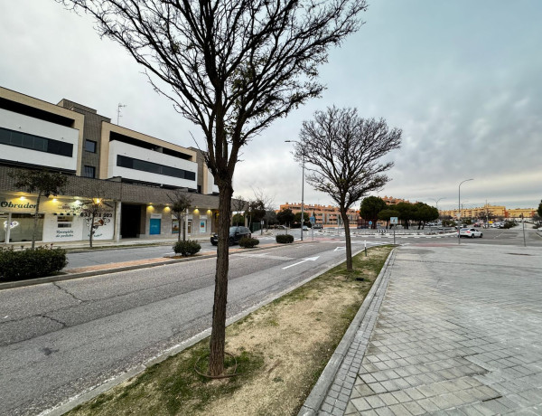 Alquiler de Local en avenida de la Unión Europea, 33