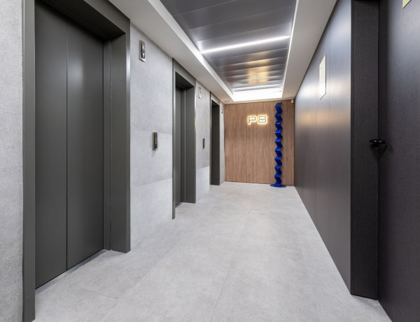 Alquiler de Estudio en paseo de la Castellana