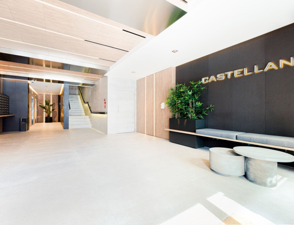 Alquiler de Estudio en paseo de la Castellana