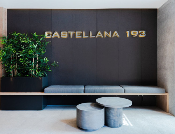 Alquiler de Estudio en paseo de la Castellana