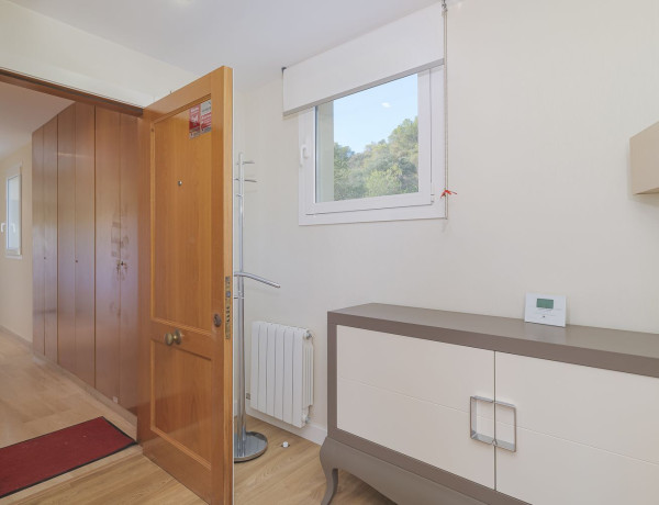 Alquiler de Dúplex en Passatge dels Pins Melis, 3