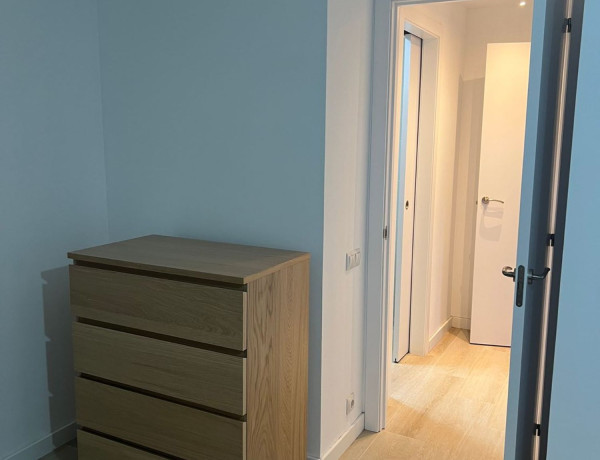 Alquiler de Piso en calle de Picalquers, 3