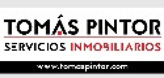 Tomás Pintor Servicios Inmobiliarios