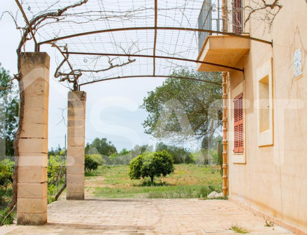 Preciosa casa en finca rústica cerca de Pina
