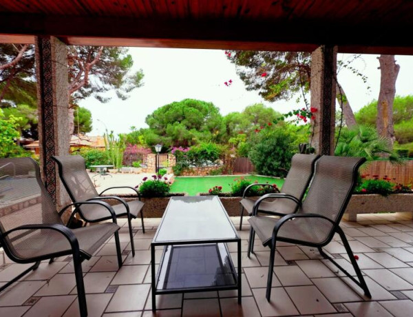 Oportunidad única, a un paso de la playa Campoamor