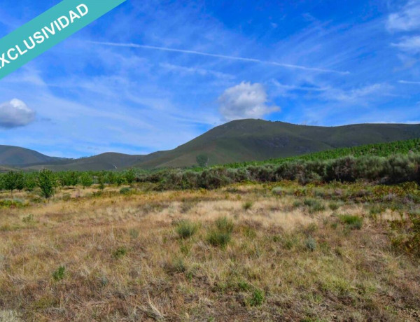 Finca agraria con agua en un entorno inmejorable.
