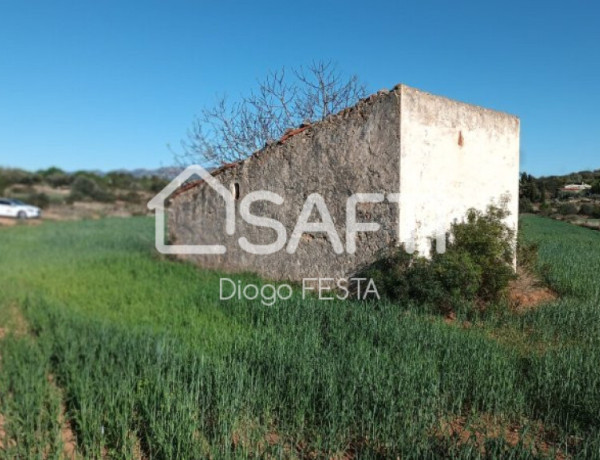 Rustic land For sell in Ulldecona in Tarragona 