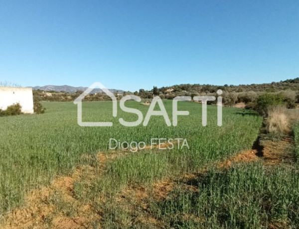 Rustic land For sell in Ulldecona in Tarragona 