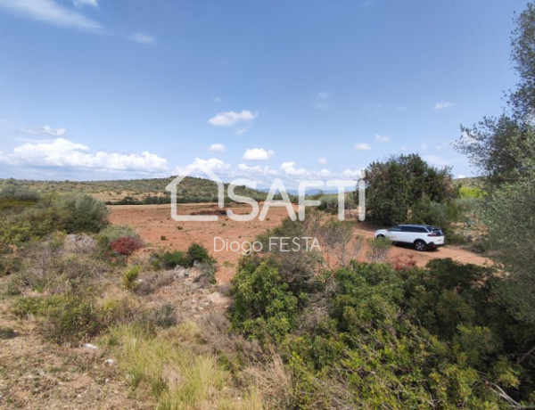 Rustic land For sell in Ulldecona in Tarragona 