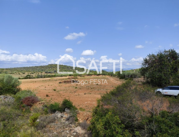 Rustic land For sell in Ulldecona in Tarragona 