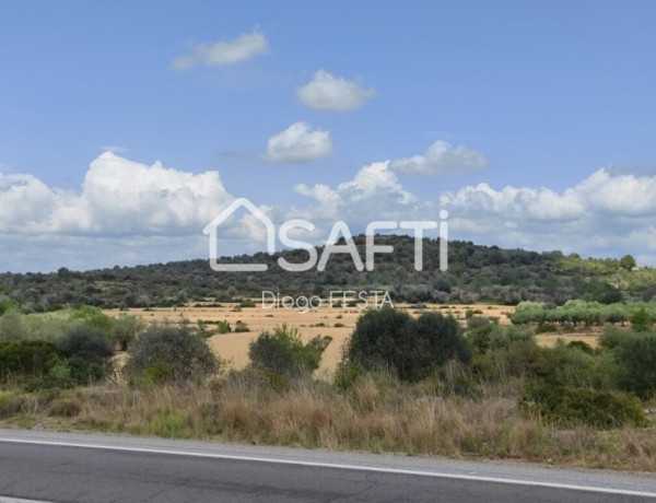 Rustic land For sell in Ulldecona in Tarragona 