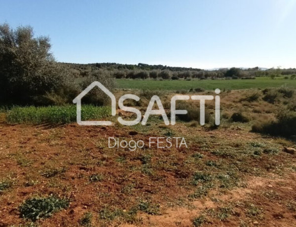 Rustic land For sell in Ulldecona in Tarragona 