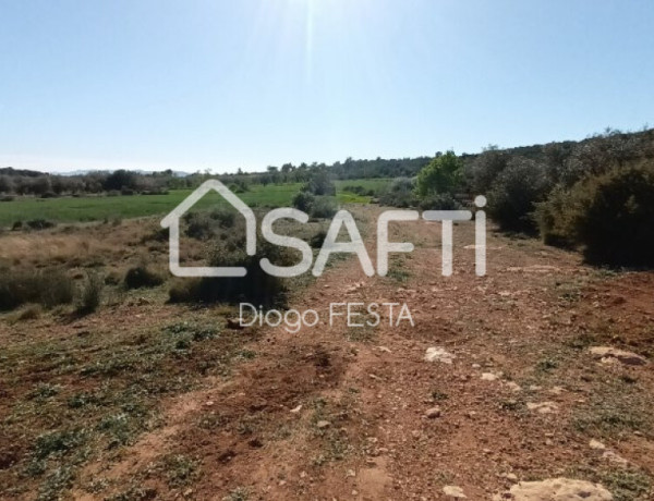 Rustic land For sell in Ulldecona in Tarragona 