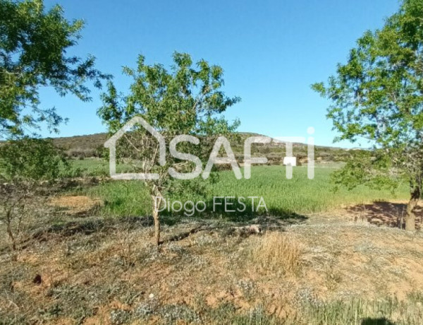 Rustic land For sell in Ulldecona in Tarragona 