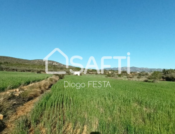 Rustic land For sell in Ulldecona in Tarragona 