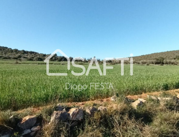 Rustic land For sell in Ulldecona in Tarragona 