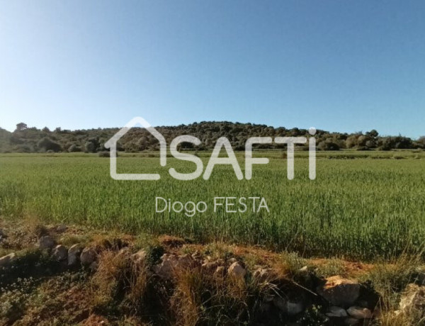 Rustic land For sell in Ulldecona in Tarragona 