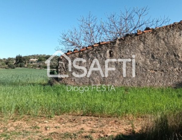 Rustic land For sell in Ulldecona in Tarragona 