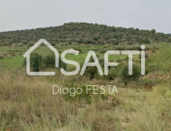 Rustic land For sell in Ulldecona in Tarragona 