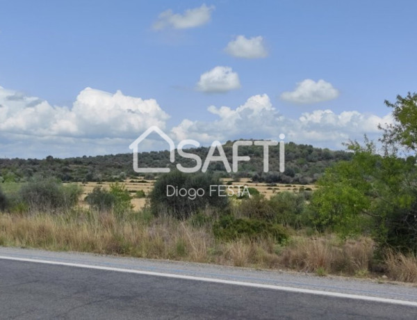 Rustic land For sell in Ulldecona in Tarragona 