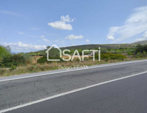 Rustic land For sell in Ulldecona in Tarragona 