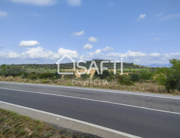 Rustic land For sell in Ulldecona in Tarragona 
