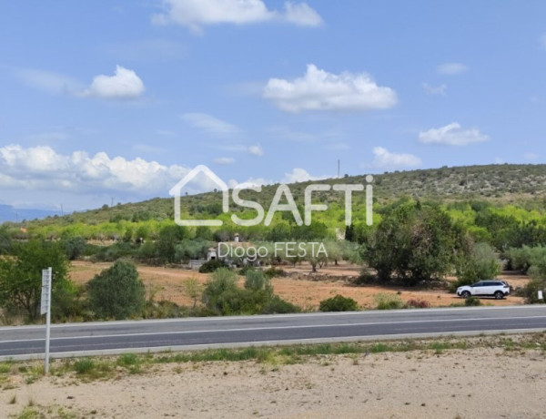 Rustic land For sell in Ulldecona in Tarragona 