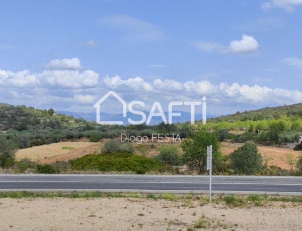 Rustic land For sell in Ulldecona in Tarragona 