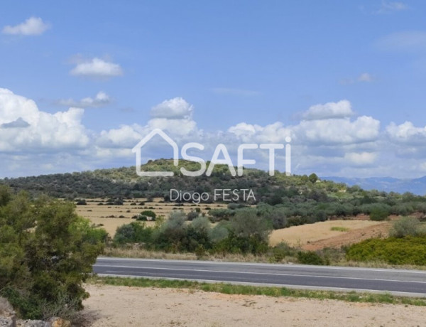 Rustic land For sell in Ulldecona in Tarragona 