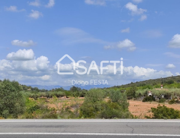 Rustic land For sell in Ulldecona in Tarragona 