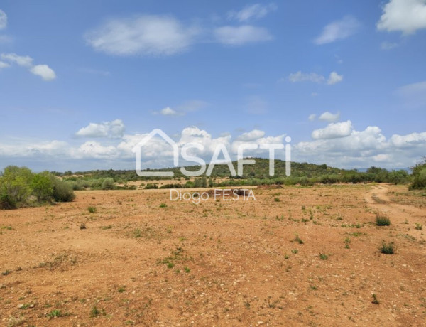 Rustic land For sell in Ulldecona in Tarragona 