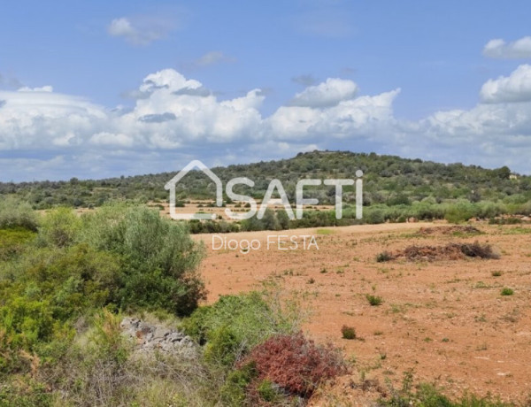 Rustic land For sell in Ulldecona in Tarragona 