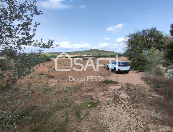 Rustic land For sell in Ulldecona in Tarragona 