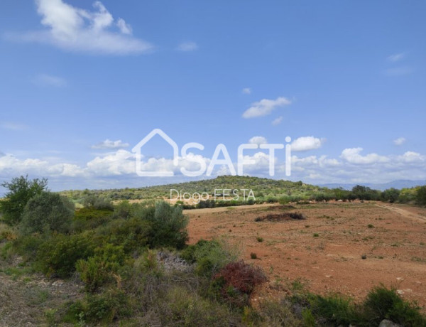 Rustic land For sell in Ulldecona in Tarragona 
