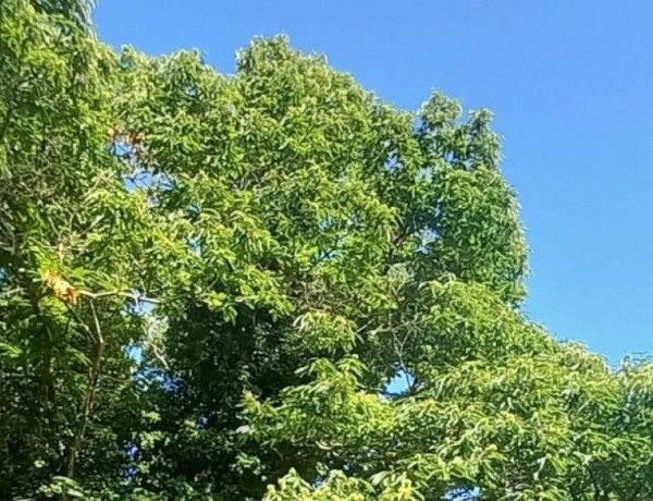 Urban land For sell in Sanxenxo in Pontevedra 